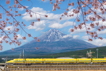 High Speed Yellow Bullet Train Shinkansen and Pink Sakura branches with Fuji mountain background in spring, Shizuoka, Japan
