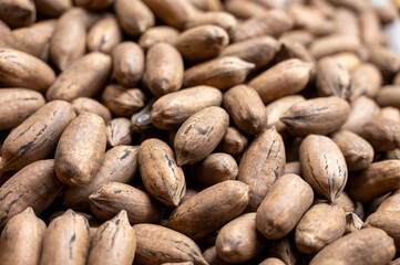 Obraz premium Roasted unpeeled pecan nuts, tasty healthy vegetarian food