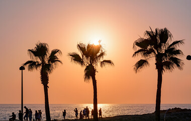 Fototapeta na wymiar Palm trees at scenic sunset on Mediterranean sea