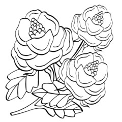 line drawing flower floral design outline illustration
