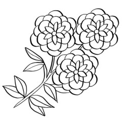 line drawing flower floral design outline illustration
