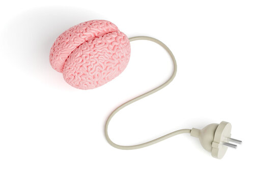 Human brain and wire with a plug from the socket isolated on a white background. 3d render