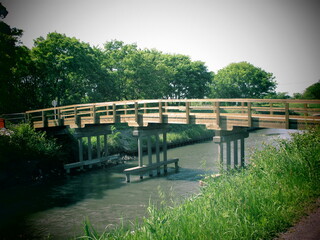大きな橋