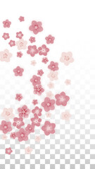 Vector Realistic Pink Flowers Falling on Transparent Background.  Spring Romantic Flowers Illustration. Flying Petals. Sakura Spa Design. Blossom Confetti. Design Elements for Wedding Decoration.