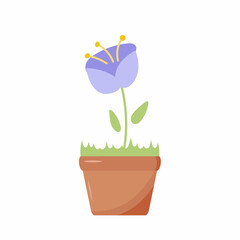 Flower in pot. Botanical home decoration flowers and leaves recent vector nature illustrations. Indoor flower growing in flower pots and planters