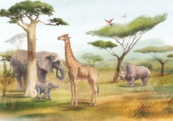 Safari scene. Watercolor African animals landscape. Africa savannah background with giraffe, elephants, rhino, baobab tree.