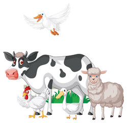 Many farm animals on white background