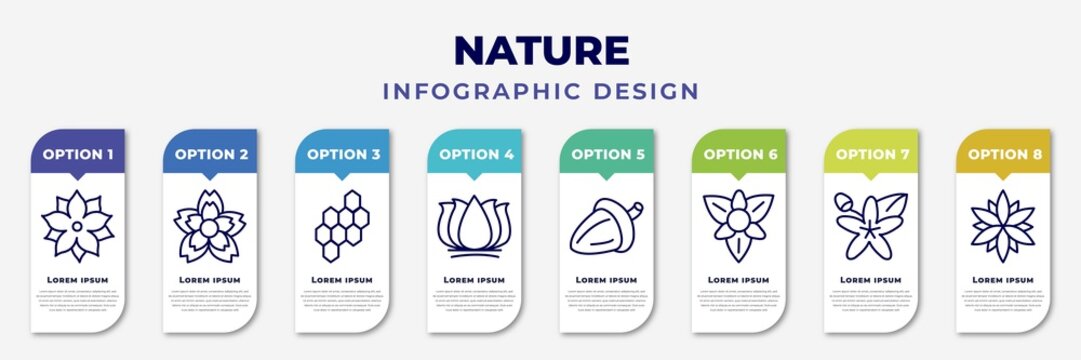 infographic template with icons and 8 options or steps. infographic for nature concept. included pointia, knapweed, hive, lotus flower, oak, gladiolus, neroli, astrantia editable vector.