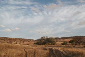 road in the countryside