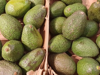 Avocados