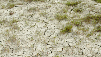 Agricultural land burnt for a long time due to drought and lack of rain