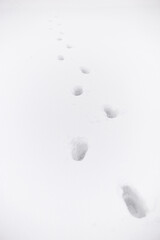 Footprints on the white snow, the concept of care, the winter mood.