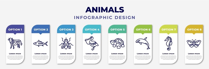 infographic template with icons and 8 options or steps. infographic for animals concept. included cow, tuna, fly, pelican, turtle, grampus, seahorse, butterfly with wings editable vector.
