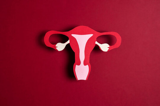  Uterus symbol  on red background.