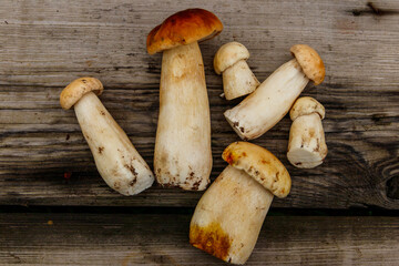 Freshly picked porcini mushrooms on rustic wooden table. Top view