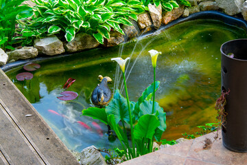 Small backyard pond decoration. Artificial pond in garden. Pool aquatic plants. Pond border decoration. Summer. 