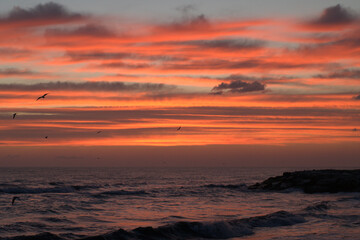 sunset over the sea,water, ocean,water, ocean,nature, sunrise, cloud, landscape, orange, horizon, evening, color,