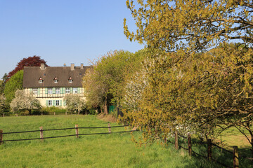 Ländliches Bochum; Frühling im Ortsteil Asbecke