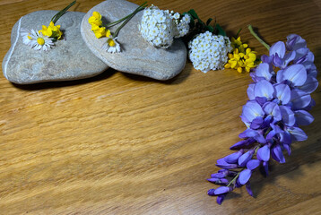 On a mustard background lie beautiful flowers, purple, yellow and white. With them are flat and gray stones.