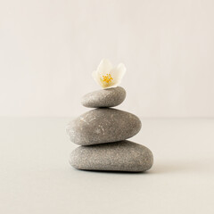 Gray pebbles and white flower on bright background. Zen like concept. Stone spa concept.