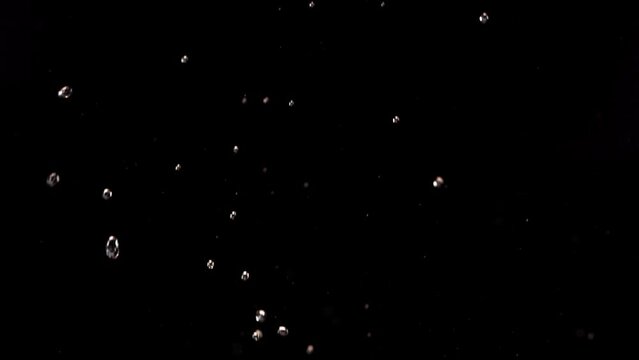 Flying of Pomegranate in Black Background in Slow Motion