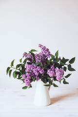 Beautiful fresh lilac flowers in full bloom in vase against white background. Minimalist floral still life. Copy space for text.