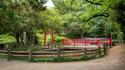 赤い橋と鳥居がある池【与野公園】／日本埼玉県さいたま市