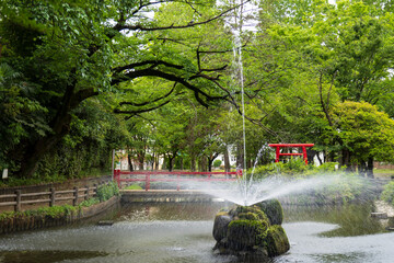 涼し気に噴水が上がる池【与野公園】／日本埼玉県さいたま市