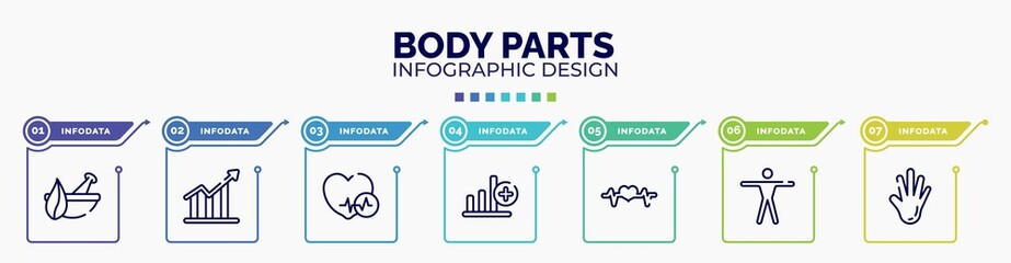 infographic for body parts concept. vector infographic template with icons and 7 option or steps. included natural herbs and a mortar for healing, increasing bargraph, heart black shape, bar graph