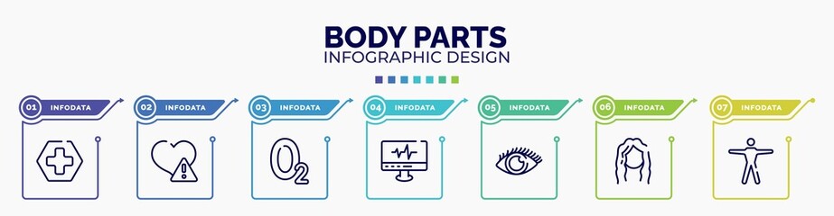 infographic for body parts concept. vector infographic template with icons and 7 option or steps. included red cross, disease, oxygen, heartbeats monitoring, eye with enlarged pupil, long wavy hair,