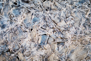 Thin ice in the morning on a rocky beach. Sunrise. Night frosts. Close view. Natural abstract texture. Changeable weather in spring.