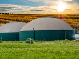 Biogasanlage bei Sonnenaufgang mit Getreidefeld