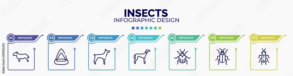 Poster infographic for insects concept. vector infographic template with icons and 7 option or steps. inclu