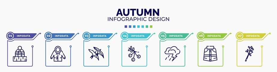 Fototapeta na wymiar infographic for autumn concept. vector infographic template with icons and 7 option or steps. included winter hat, raincoat, bird migration, rowan, storm, cloak, tree branch editable vector.