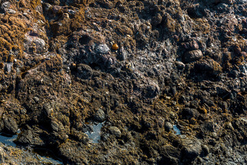 Background texture sea stone defective corals process