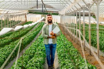 A portrait of a smiling man in his 30s standing in a greenhouse.