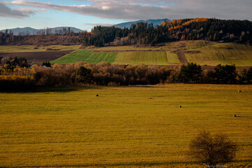 Obraz premium autumn in the mountains