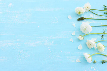Top view image of white flowers composition over wooden blue pastel background - obrazy, fototapety, plakaty