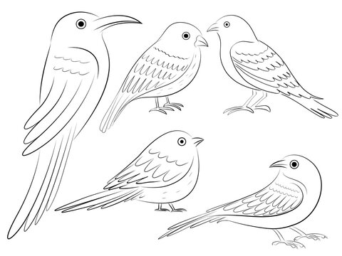 outline bird drawing