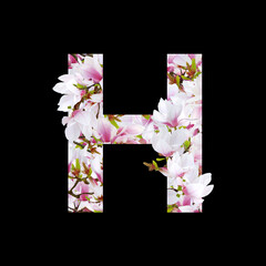 Magnolia floral element isolated. Letter H