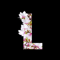 Magnolia floral element isolated. Letter L