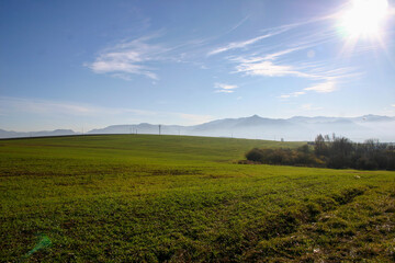 field and blue sky