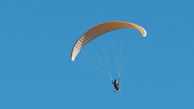 Parachutist jumps with instructor. Paragliders, fearless skydivers tandem flying against clear blue sky. Extreme parachute sport, lifestyle, hobby, adventure. Skydiving, summer activity