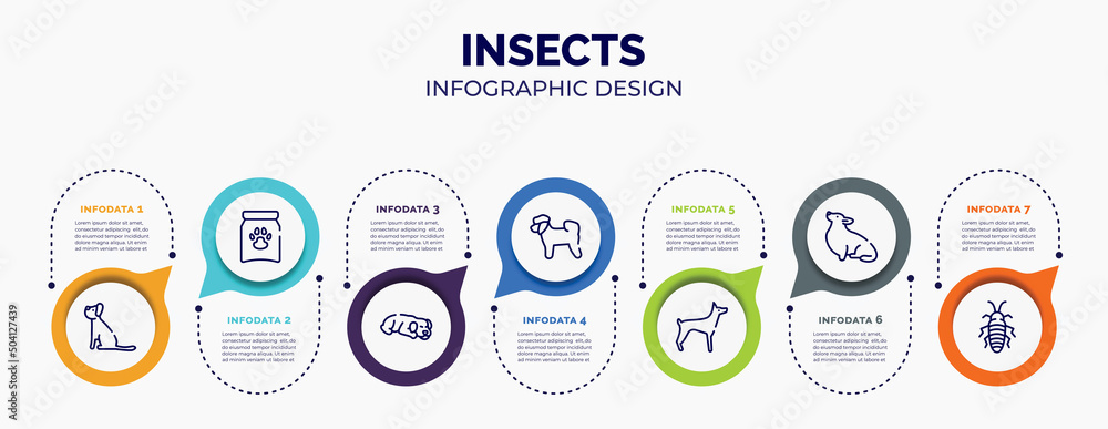 Poster infographic for insects concept. vector infographic template with icons and 7 option or steps. inclu