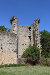Fototapeta na wymiar ruins of the castle in the valley 