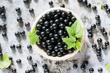 Fototapeta na wymiar Freshly gathered black currants with leaves in a plate and on grey surface background inside, fresh black currants in dish, harvest of black currants in rustic style, top view