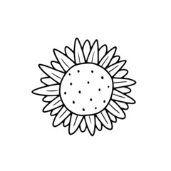 Sunflower in a simple doodle style. Vector isolated floral illustration.