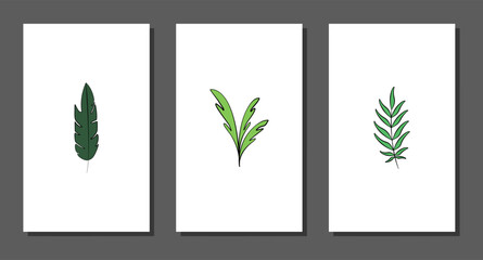 Vector botanical wall arts, with leaves. Minimalistic and natural. Leaves and line arts design.