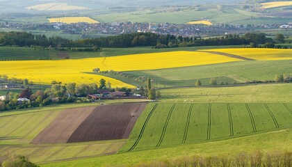 Obraz premium Field around the farm. Kunovice. In the background Kelc. East Moravia. Europe.