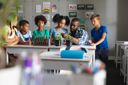 African american young male teacher showing plants to multiracial elementary students in class